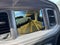 2023 Dodge Charger SXT AWD
